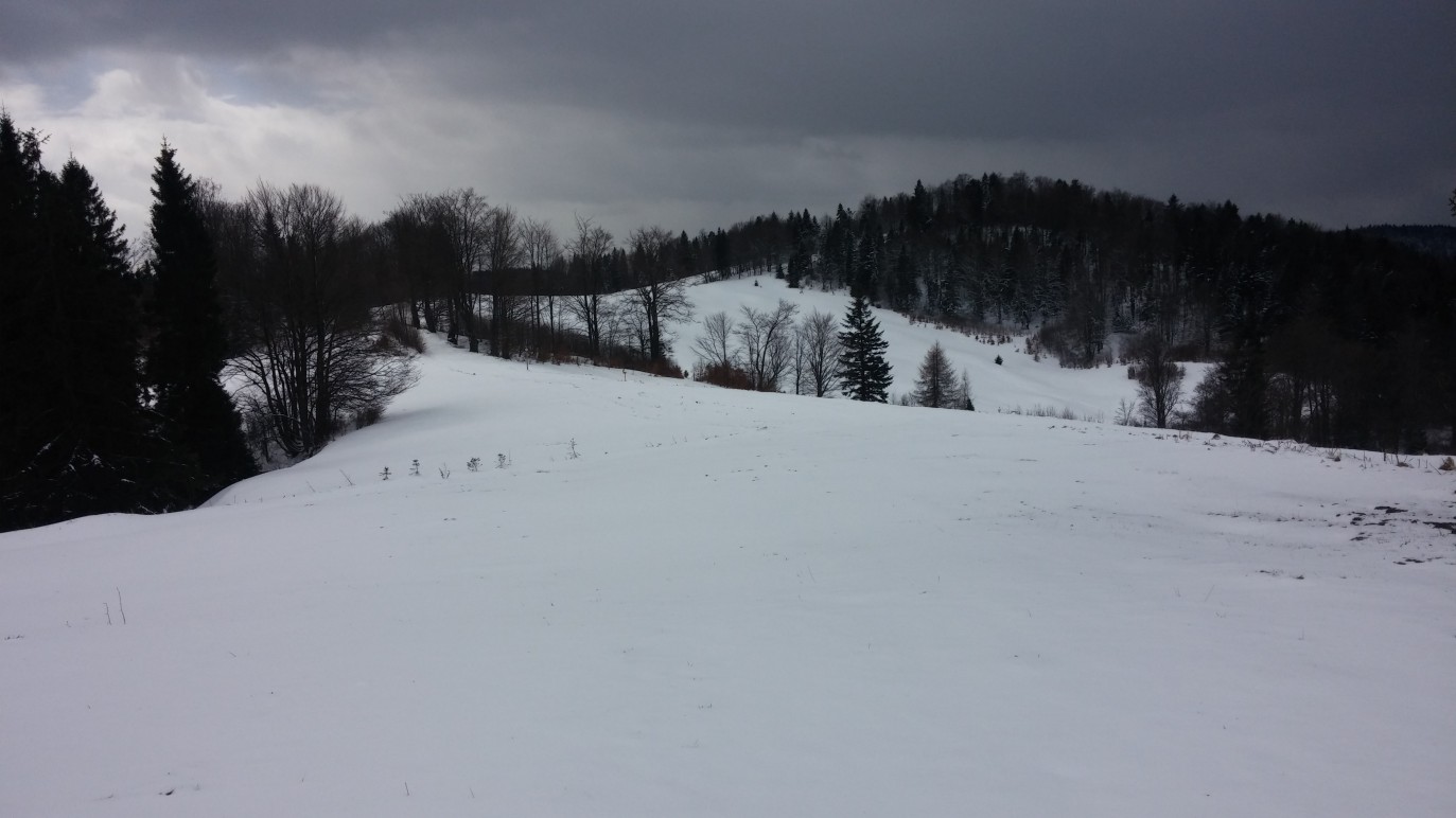 rejon Bacówki nad Wierchomlą (02.04.2015 godz. 11:52)